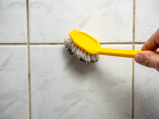 Best Post-Remediation Services in Quanah, TX