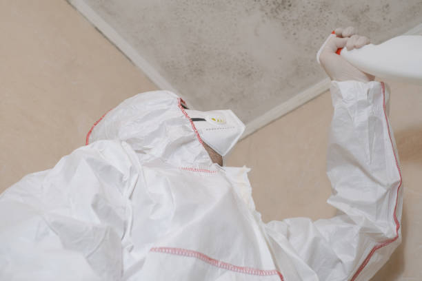 Best Industrial Mold Remediation in Quanah, TX